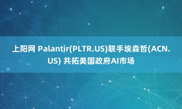 上阳网 Palantir(PLTR.US)联手埃森哲(ACN.US) 共拓美国政府AI市场