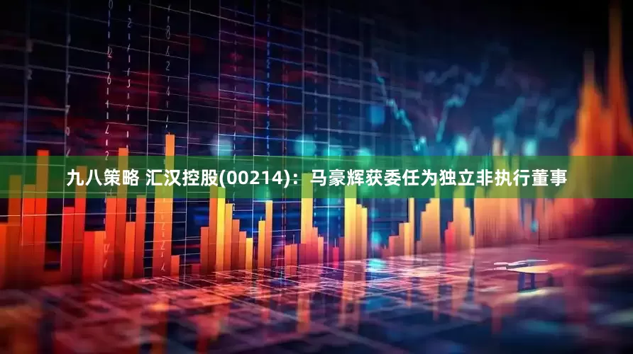 九八策略 汇汉控股(00214)：马豪辉获委任为独立非执行董事