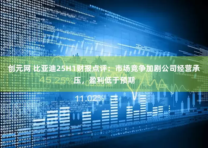 创元网 比亚迪25H1财报点评：市场竞争加剧公司经营承压，盈利低于预期