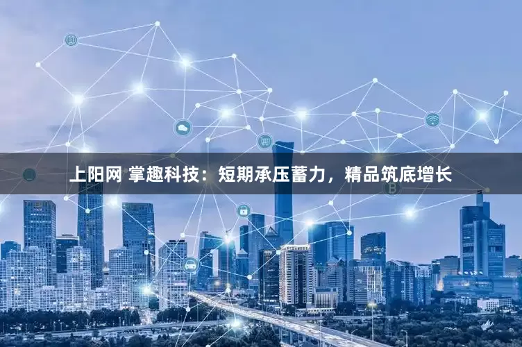 上阳网 掌趣科技：短期承压蓄力，精品筑底增长